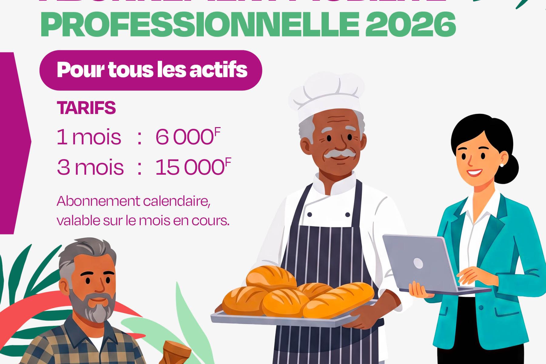actifs professionnels
